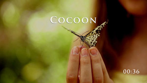The Christian Church is the Cocoon